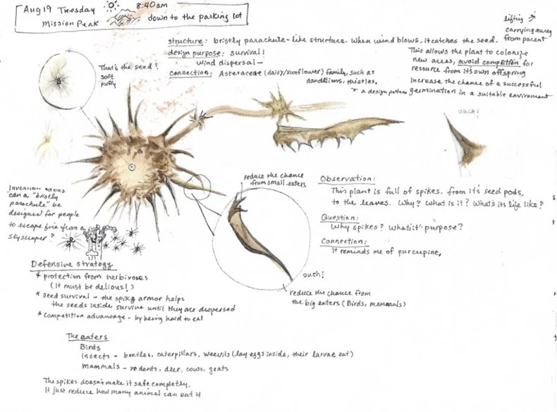 Book1 (dragged) 2.jpg