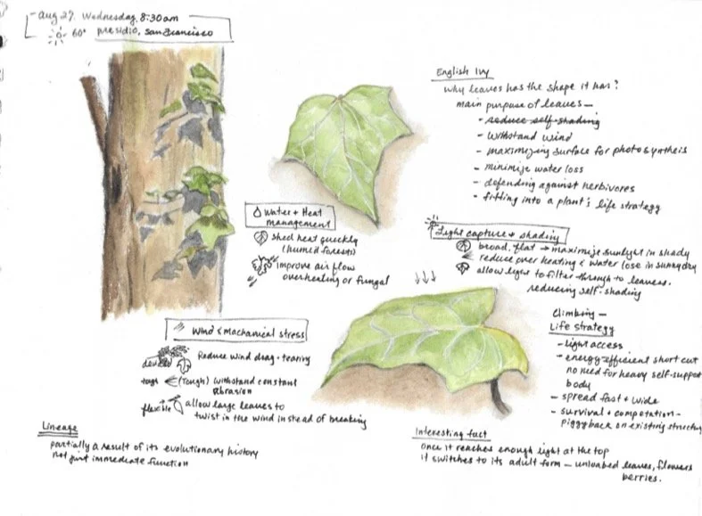 Book1 (dragged) 4.jpg