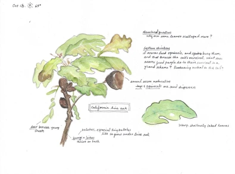 Book1 (dragged) 7.jpg