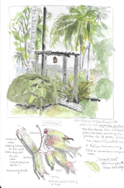 Journaling8-15 (dragged) 8.jpg