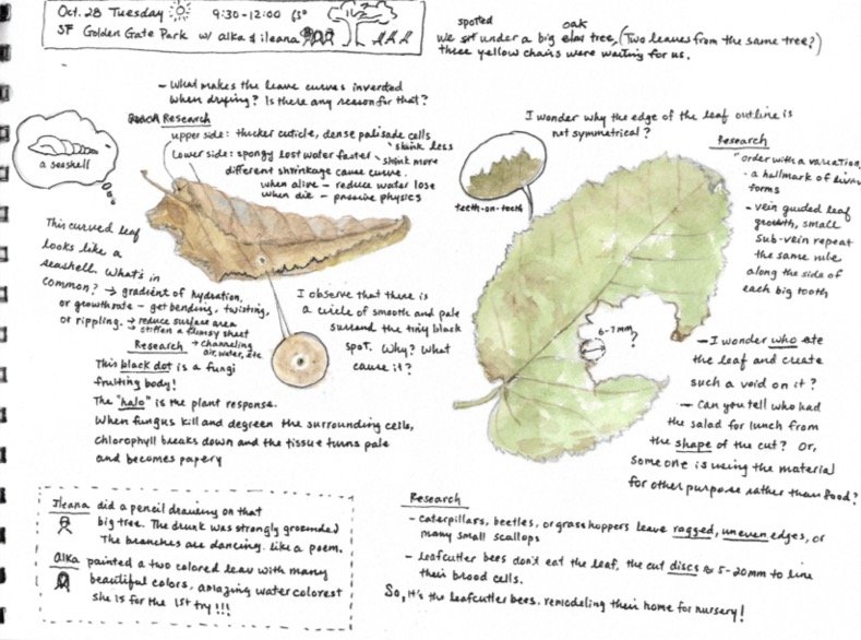 Book1 (dragged) 9.jpg