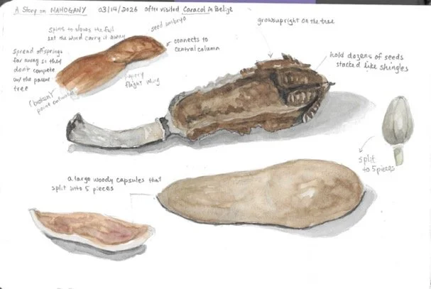 Journaling8-15 (dragged) 3.jpg