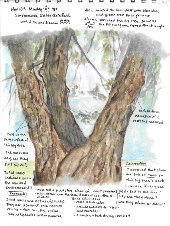 Book1 (dragged) 10.jpg