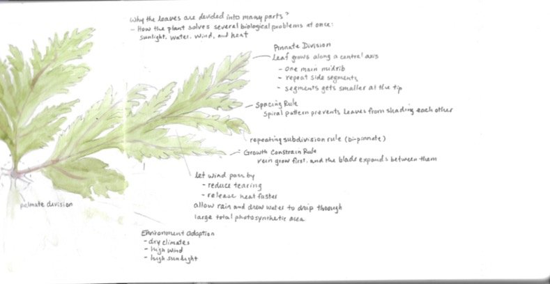 Journaling1-7 (dragged) 5.jpg