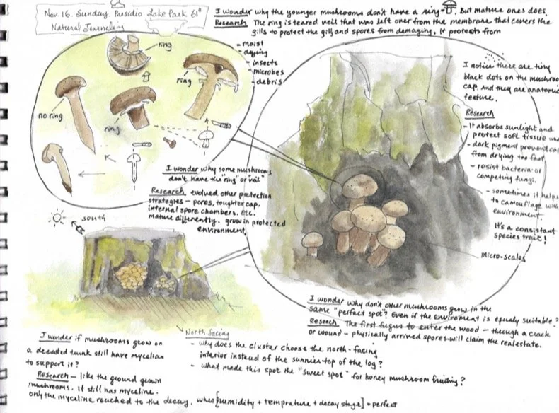 Book1 (dragged) 11.jpg