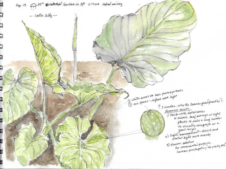 Book1 (dragged) 12.jpg