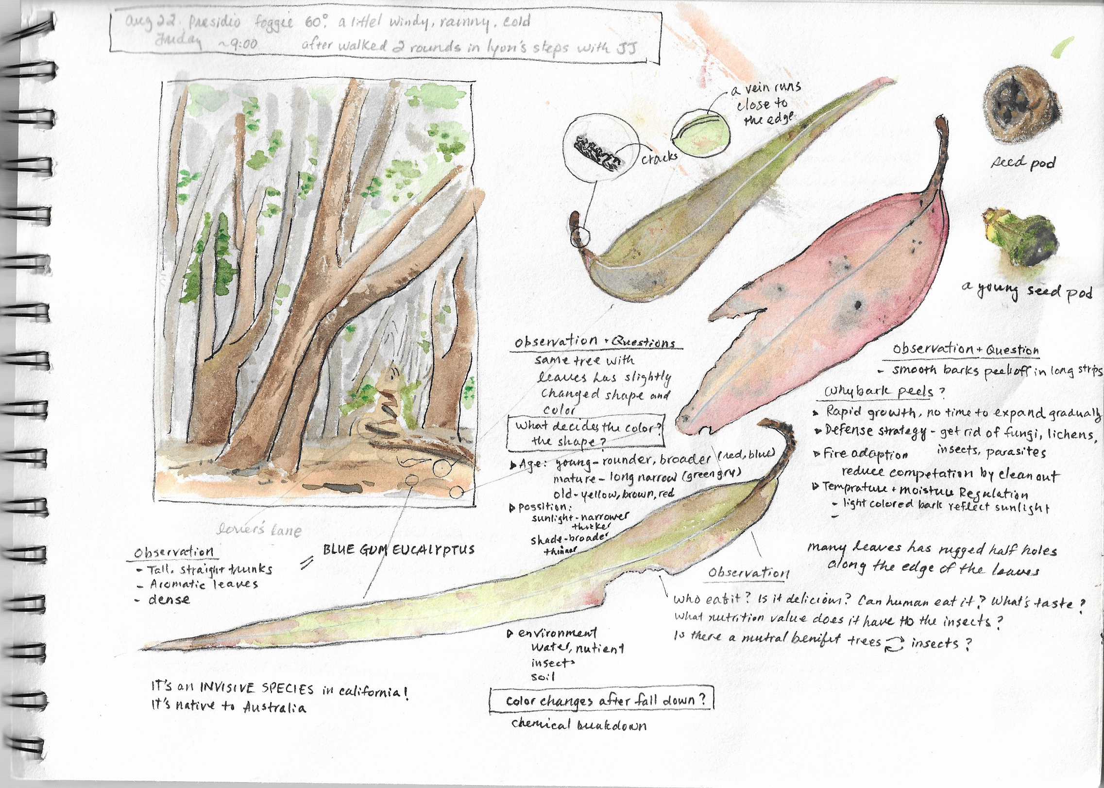 Natural Journaling