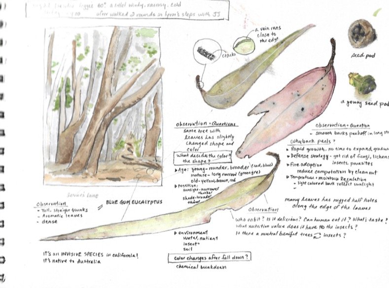 Book1 (dragged) 3.jpg