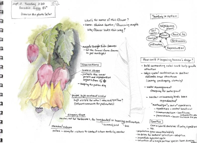 Book1 (dragged) 6.jpg