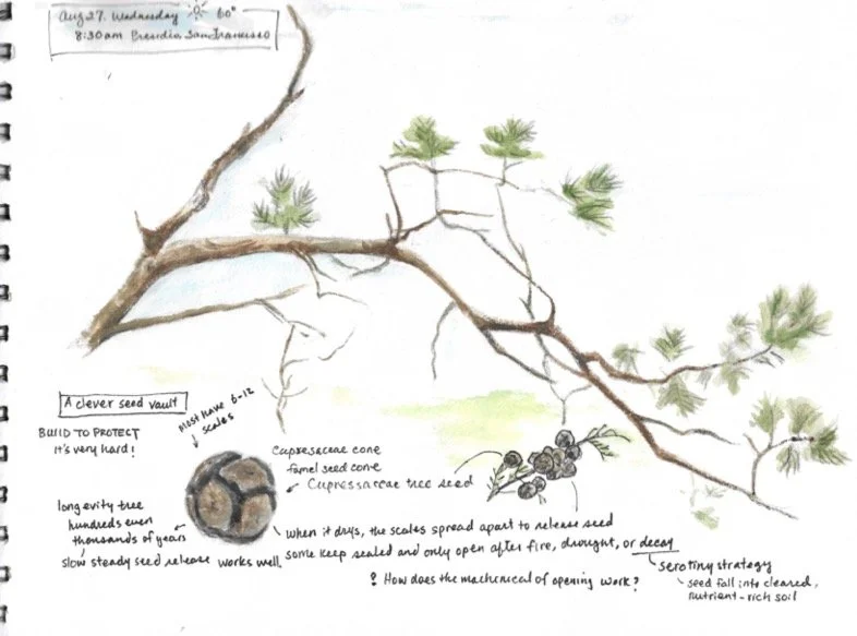 Book1 (dragged) 5.jpg