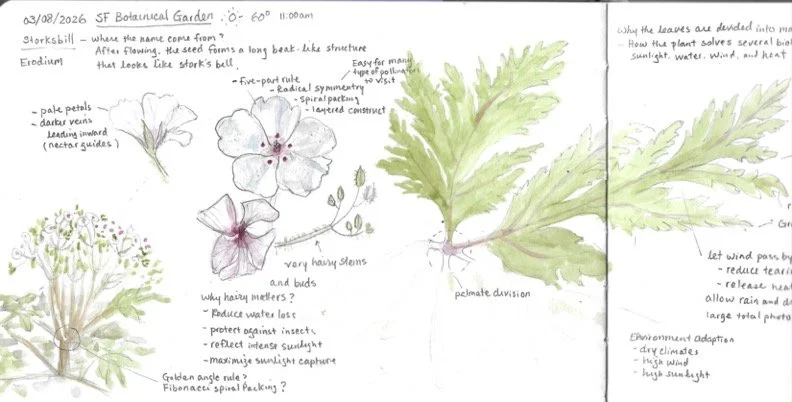 Journaling1-7 (dragged) 4.jpg