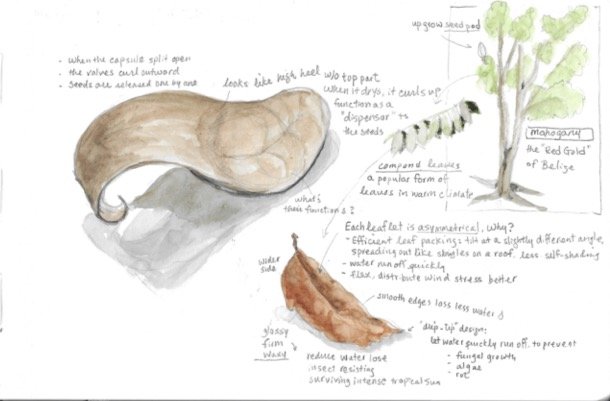 Journaling8-15 (dragged) 4.jpg