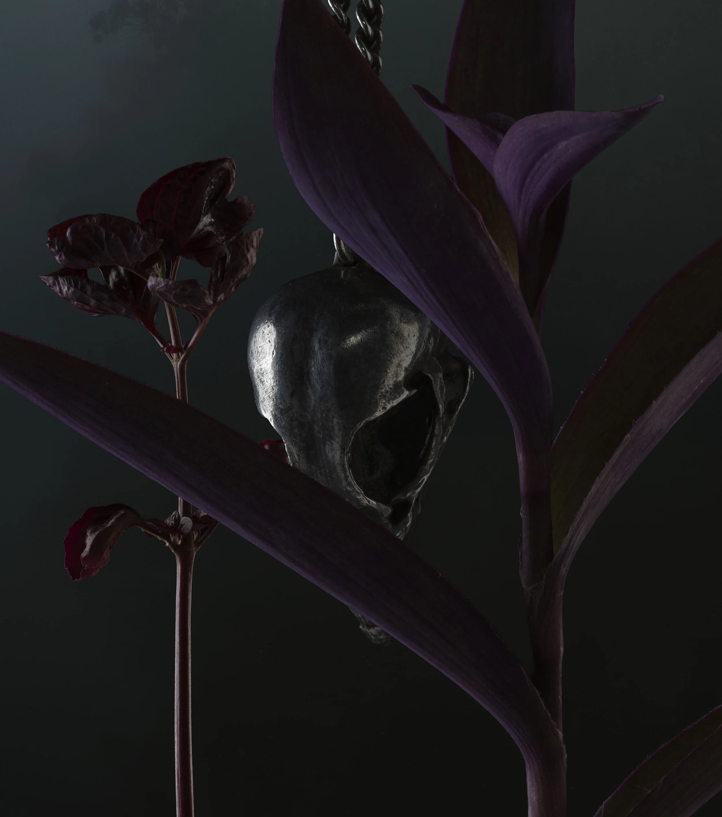 Domus Mea et Cor Meum 1.2.jpg