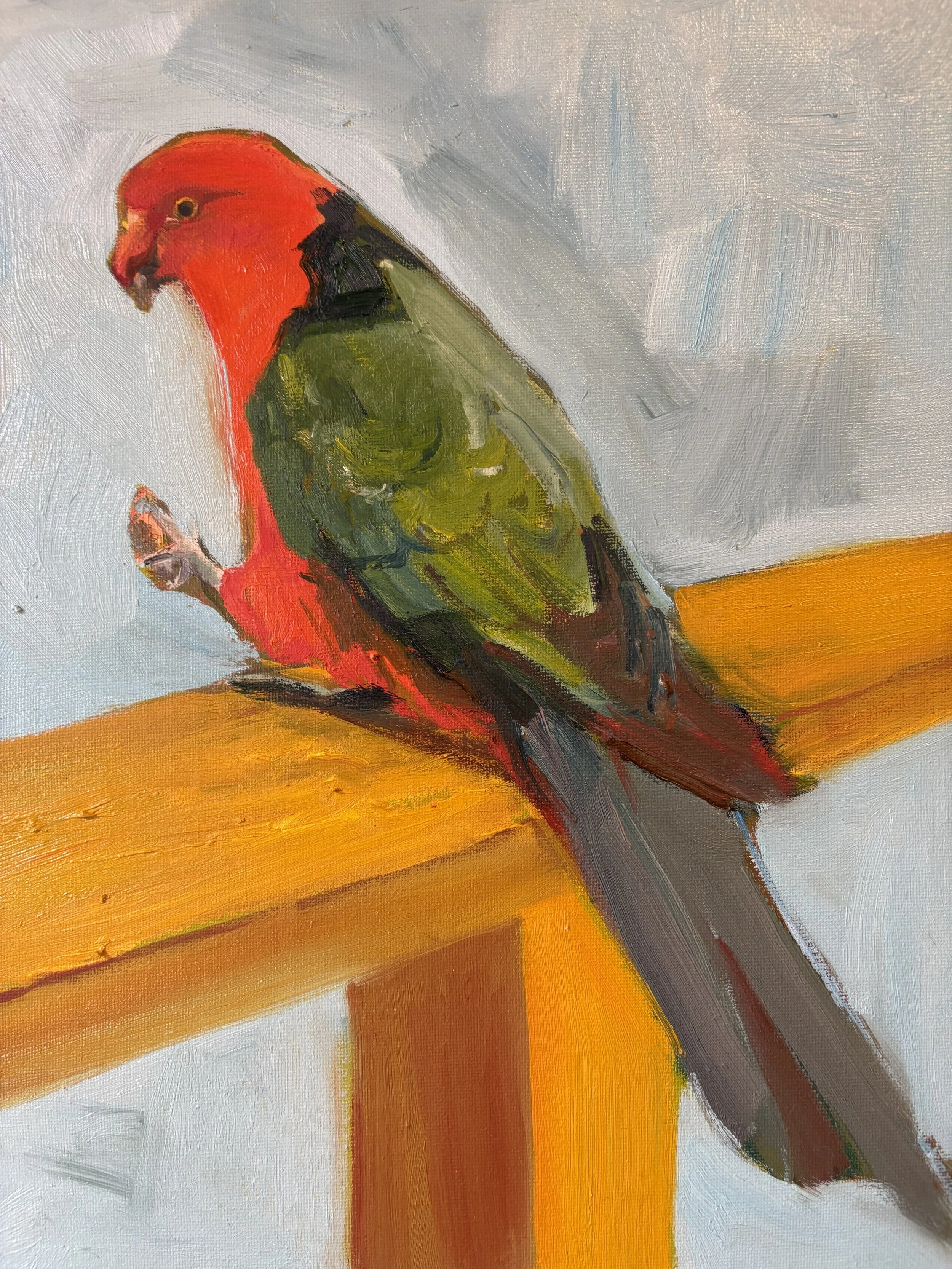King Parrot, Oil on Canvas, 36 x 23cm, 2026