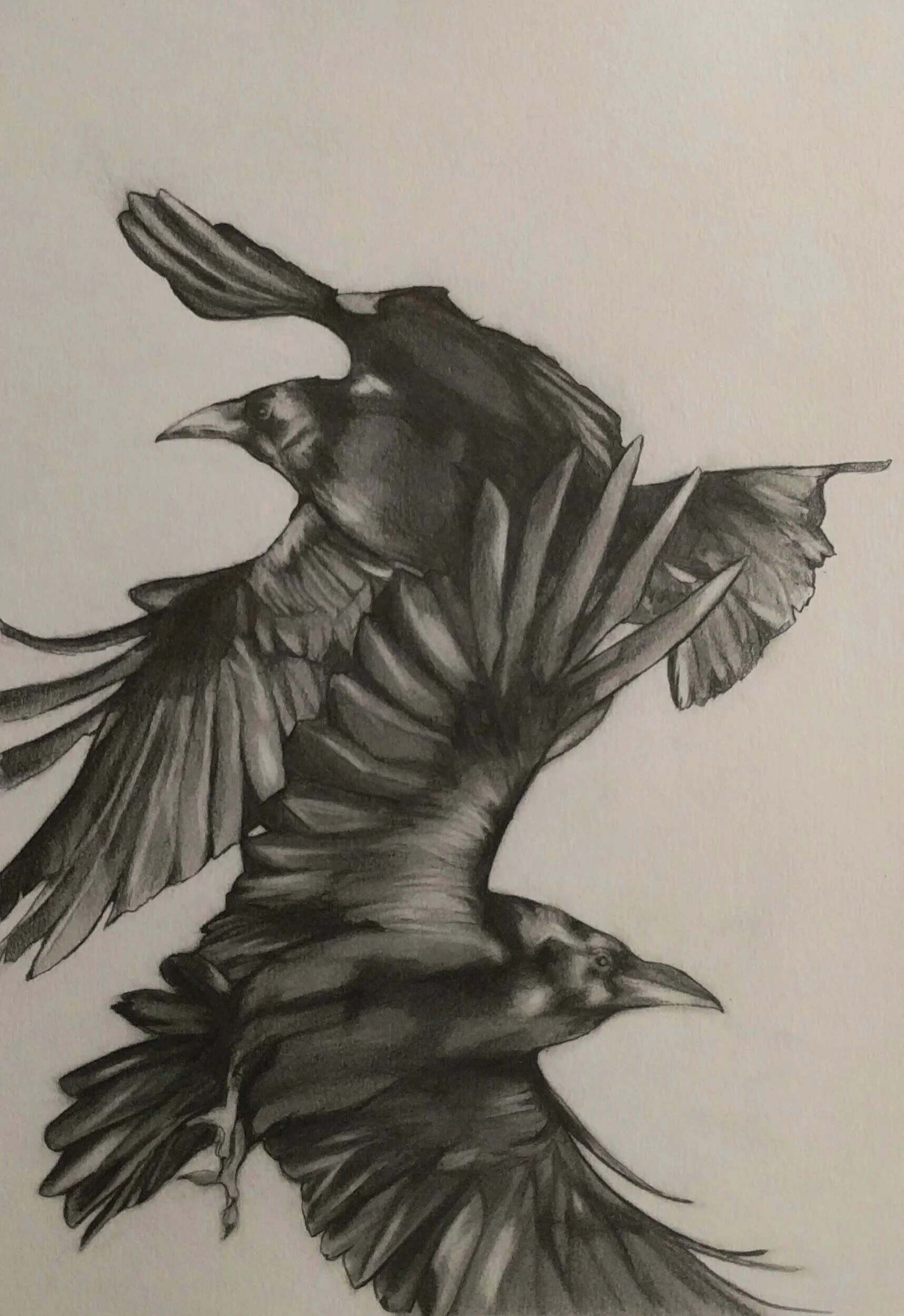 Crossing Paths, graphite on paper, 29.7 x 42 cm, 2019