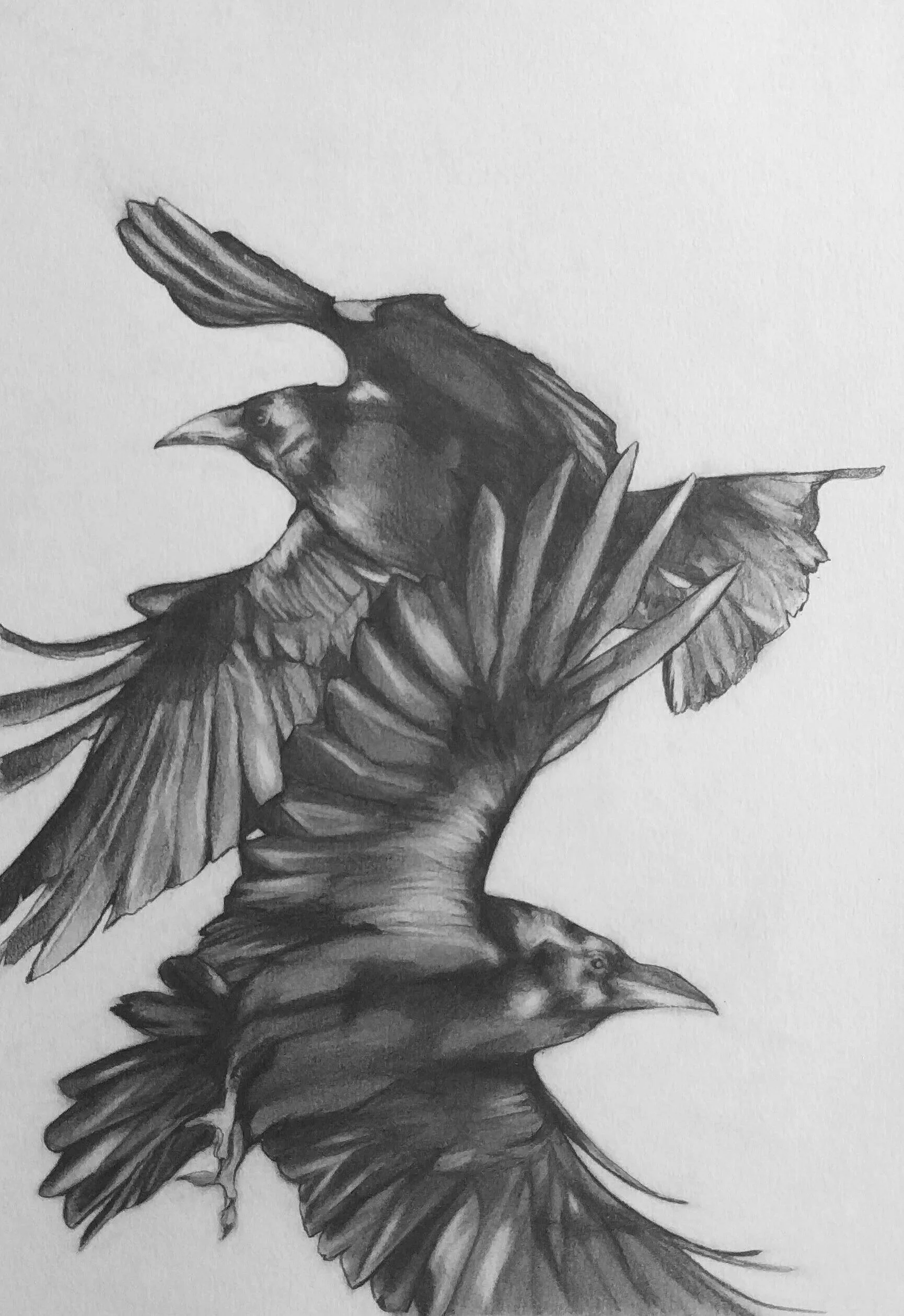 Drawing