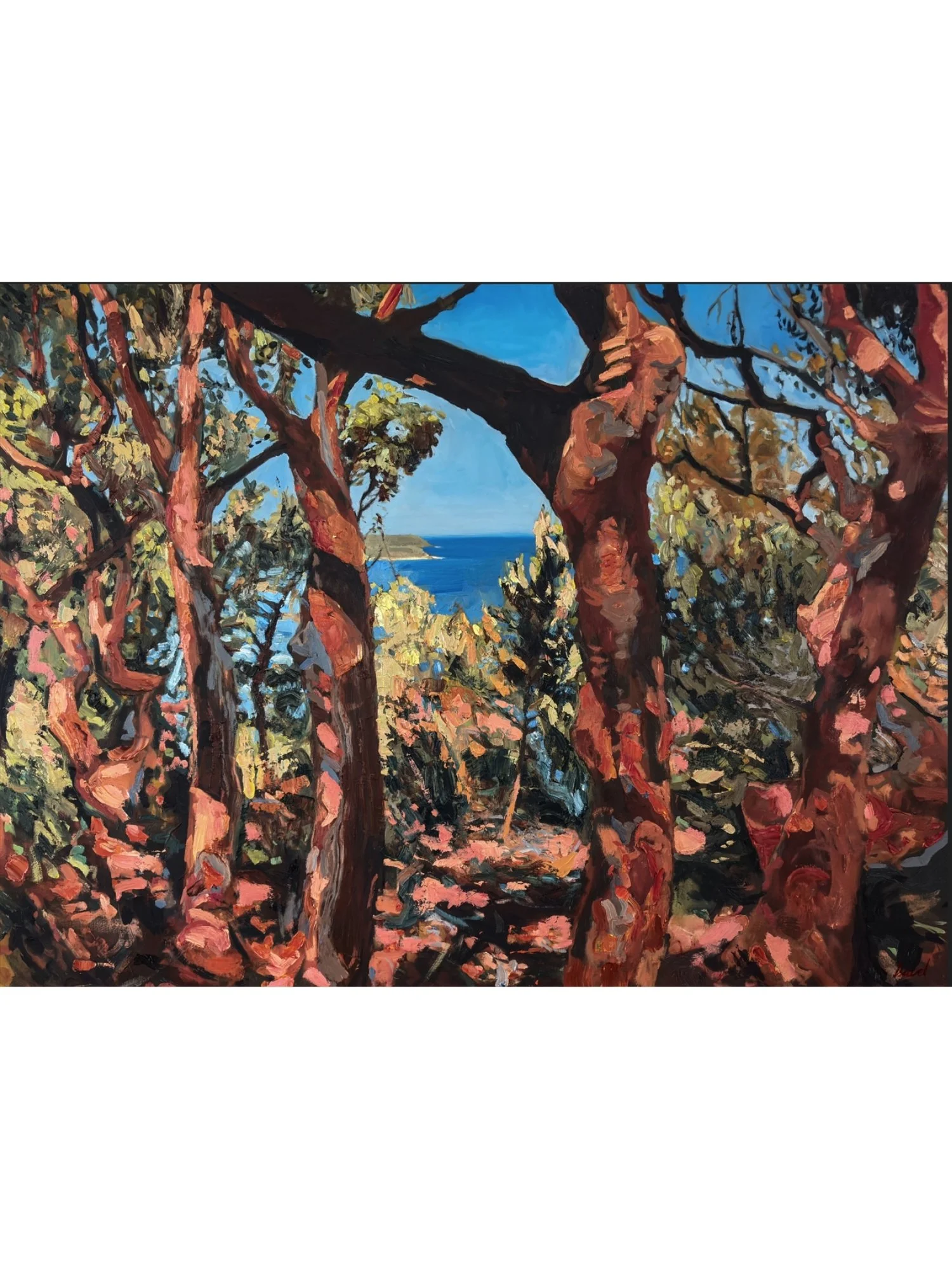 Glimpse Through Box Head A2 Fine Art Print