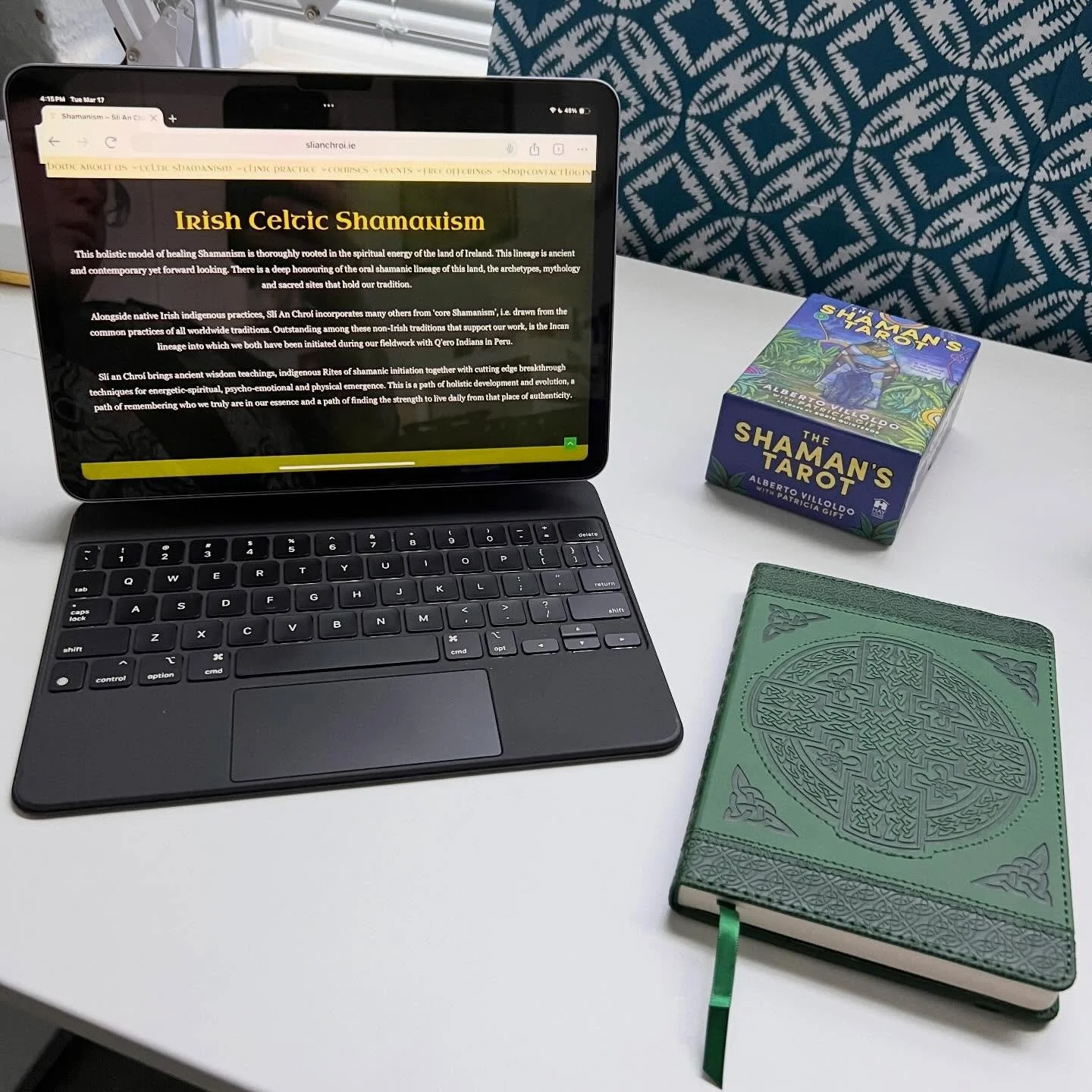 For me, St. Patrick&rsquo;s day is spent connecting with the old ways of Ireland. 🐍🌞

Shortly after a prayer to St. Brigid this Imbolg, I finally found a Celtic Shamanism program that feels most aligned with my values and previous training.

I&rsqu