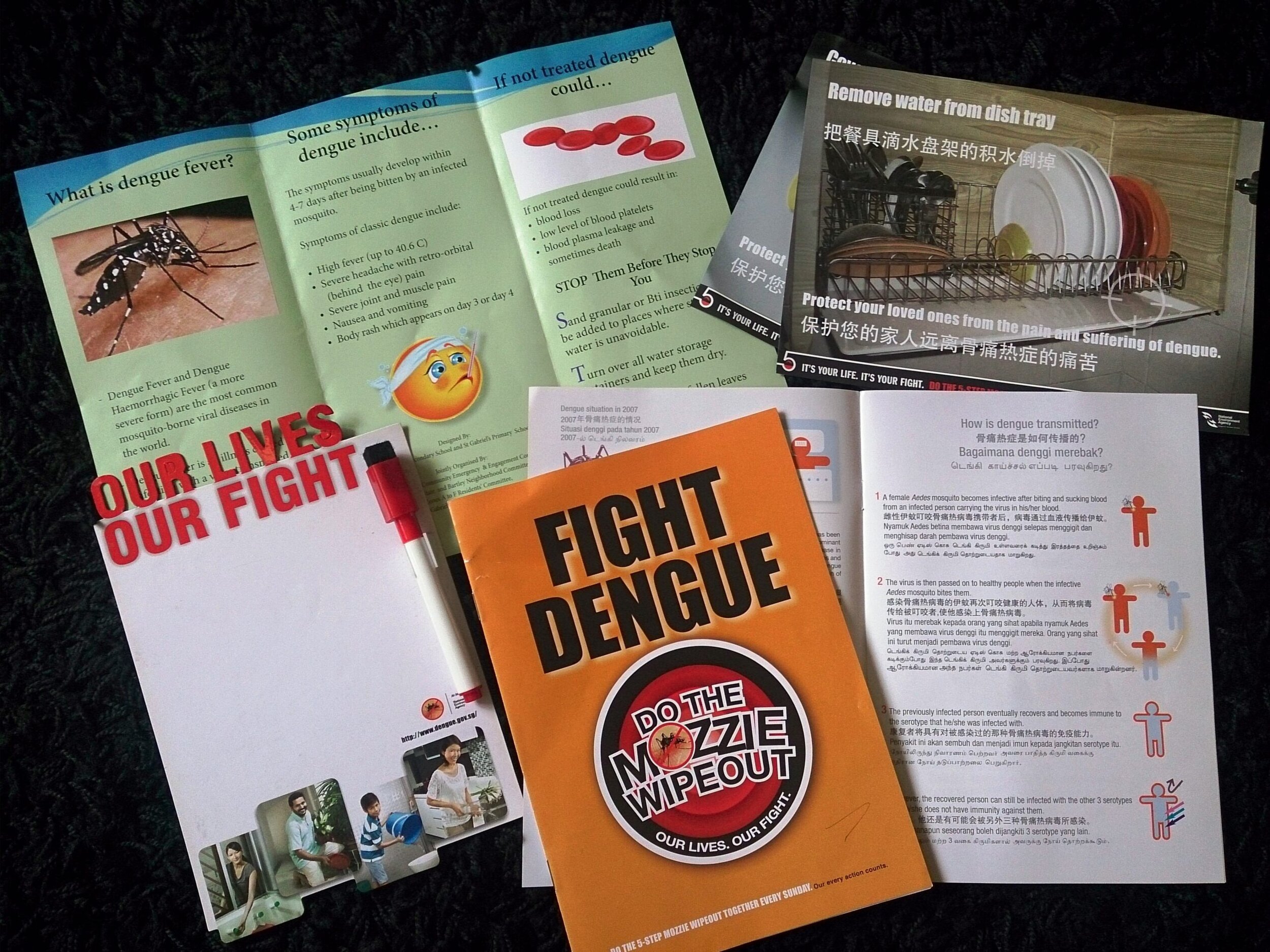 Dengue_marketing_materials-scaled.jpg