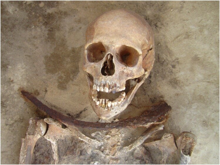 Sickle-Skull.jpg