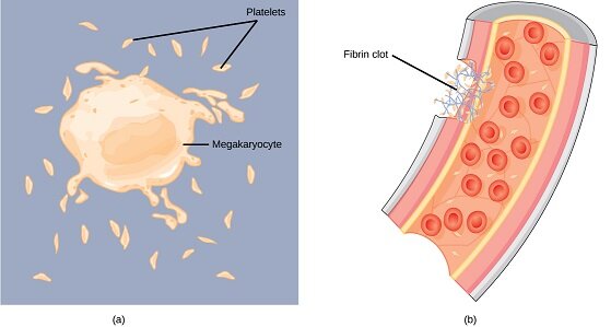 super-clotting.jpg