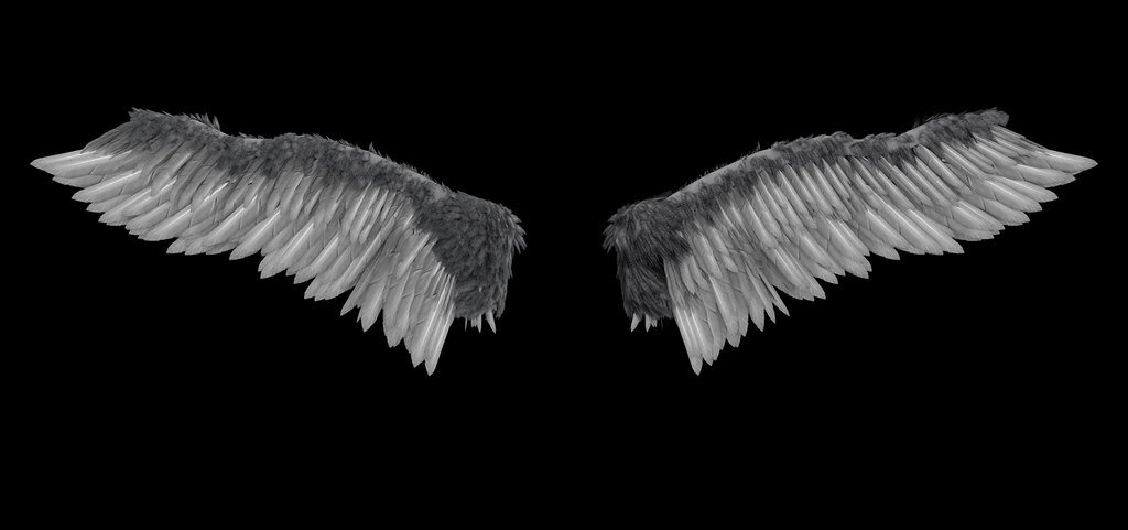 ultralight-wings.jpg