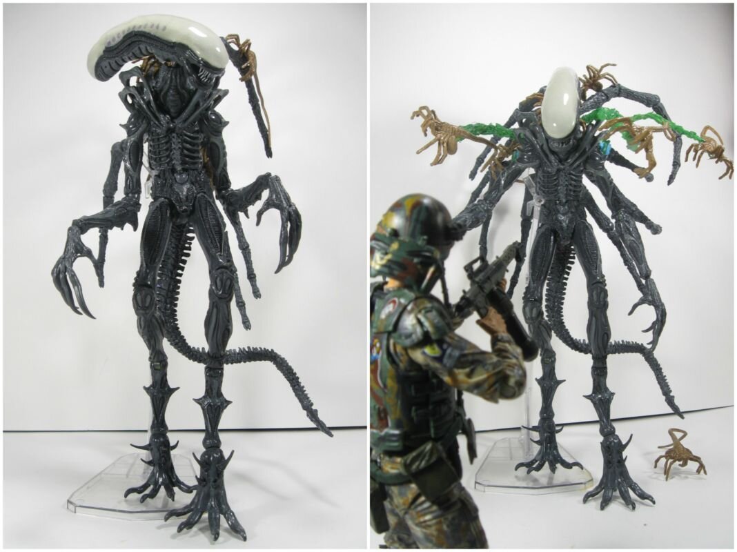 xenomorph-carrier.jpg