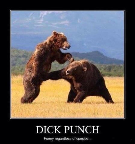 bear-dick-punch.jpg