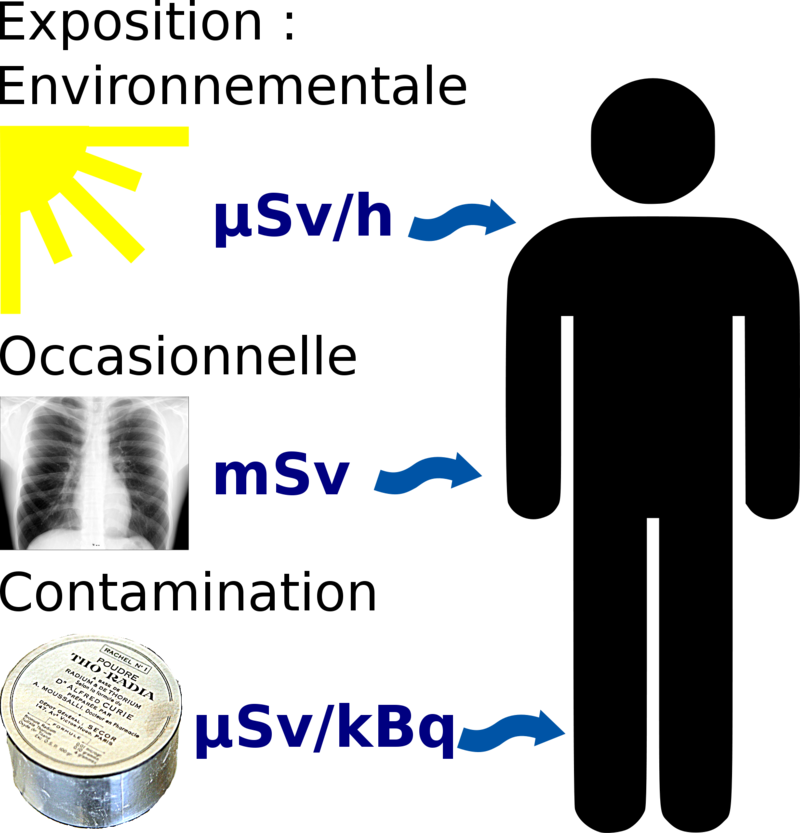 Radiation_exposition_modes.png