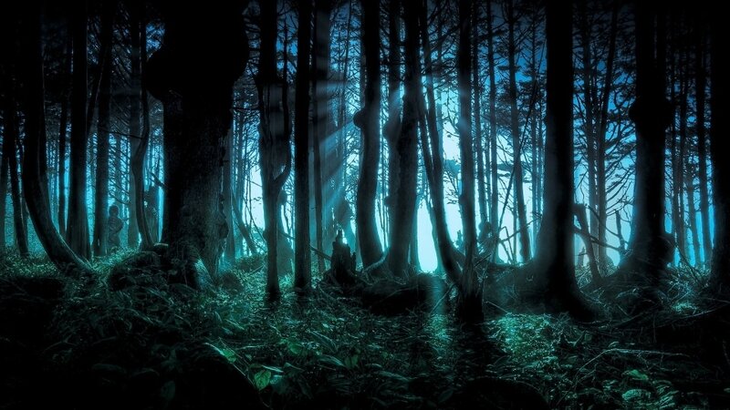 moonlit-forest.jpg