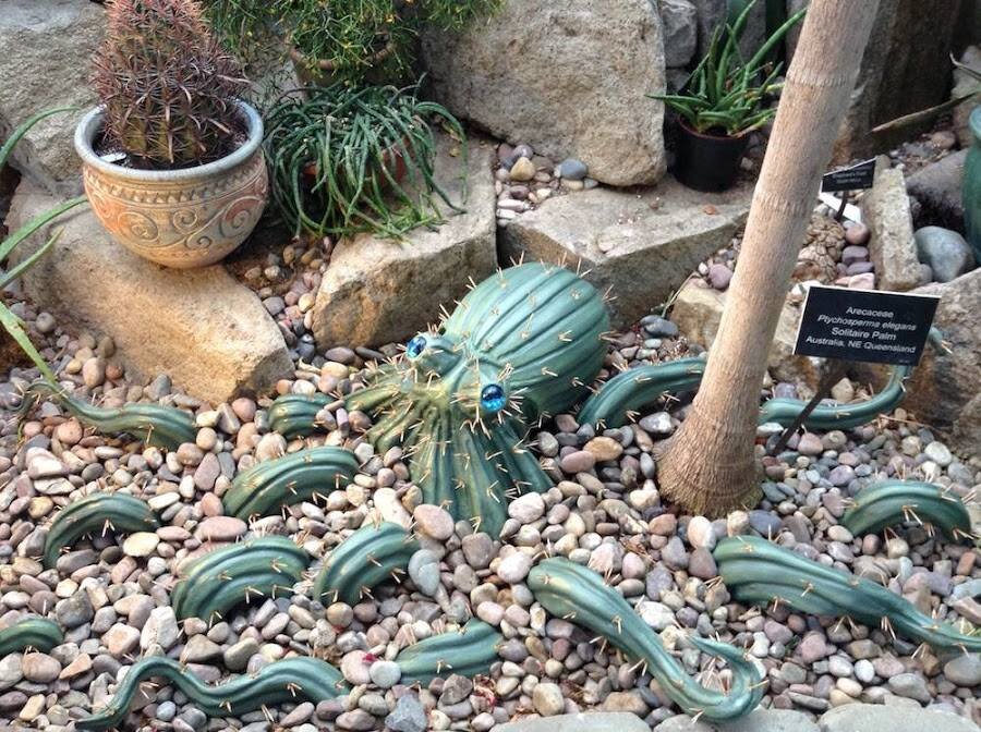 Octocacti.jpg