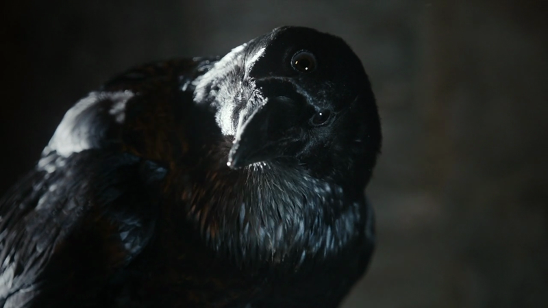 raven-three-eye.png
