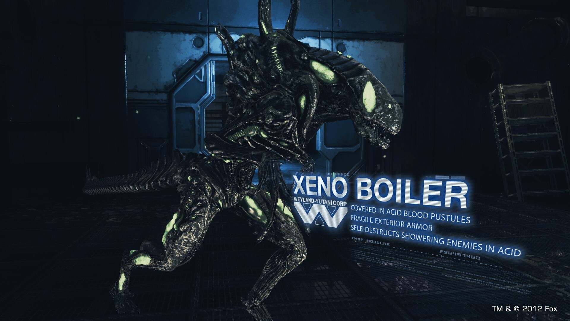 xeno-boiler.jpg