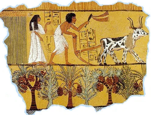 Aígyptian (Backgrounds for 5th Edition D&D/Swords of Kos Fantasy Campaign Setting)