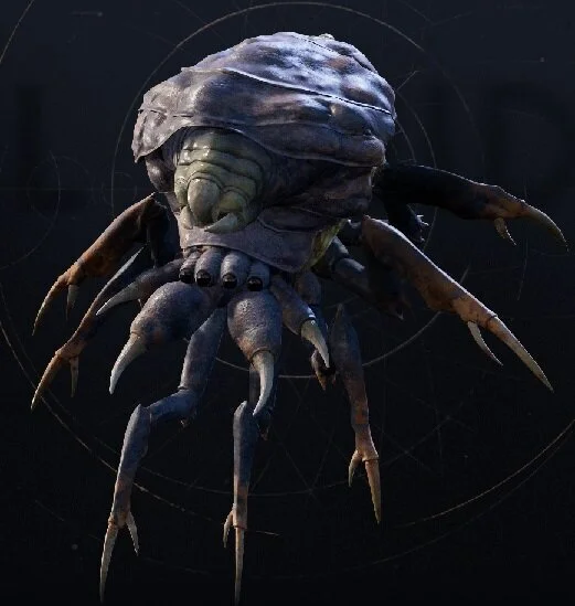Starfinder: Bane Back Spider