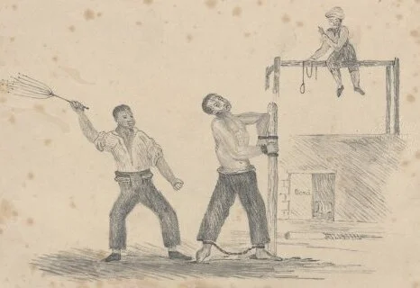 Van Diemen's Doctors