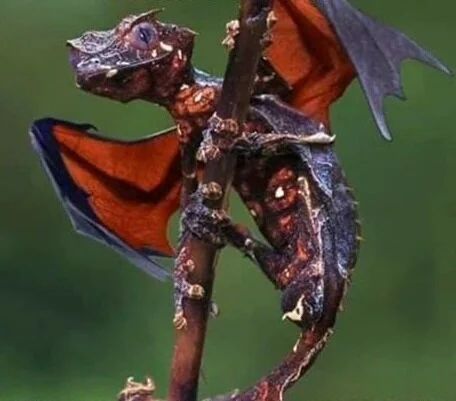 Starfinder: Plaguer