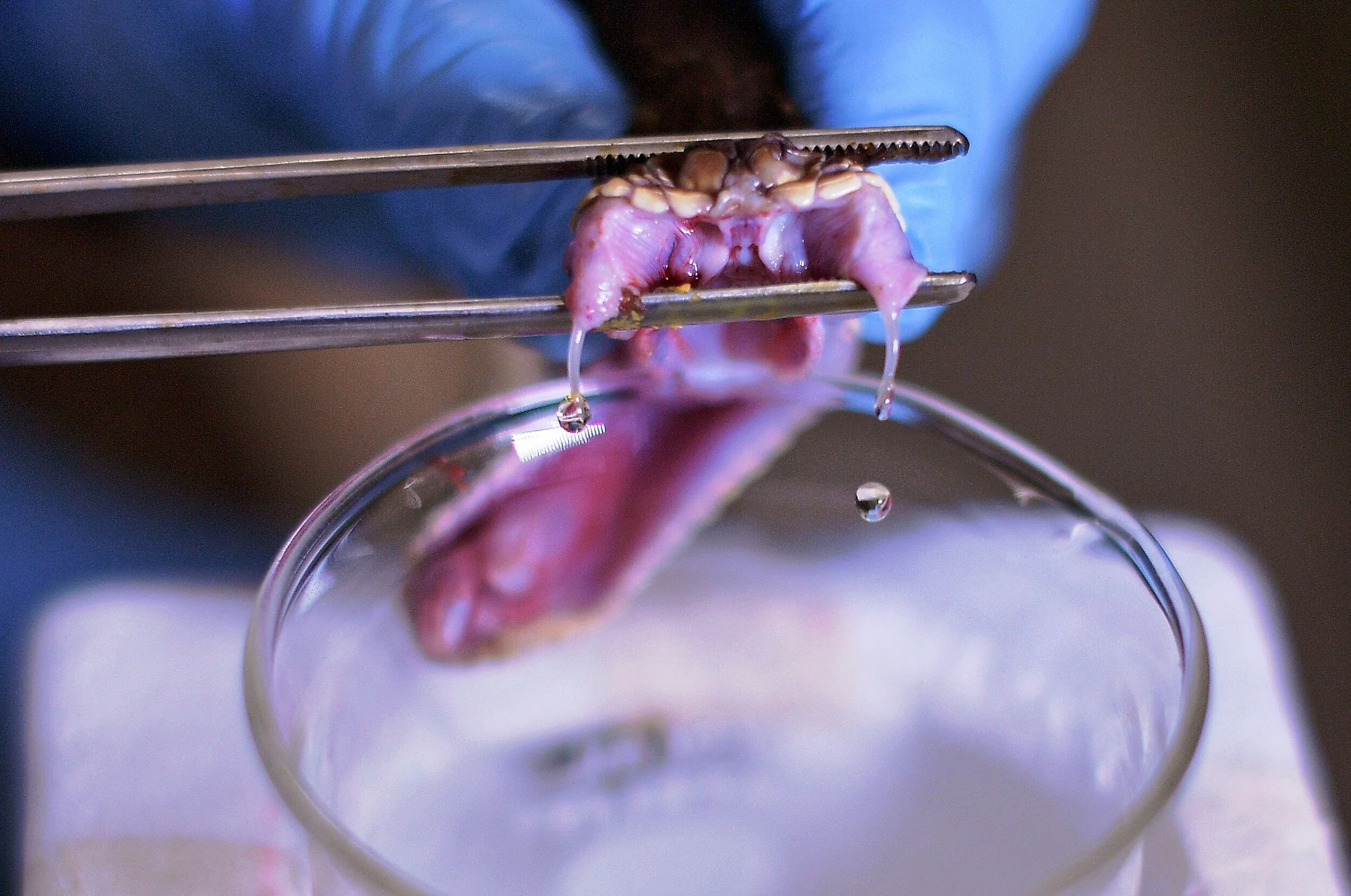 Starfinder: Toxin Injection