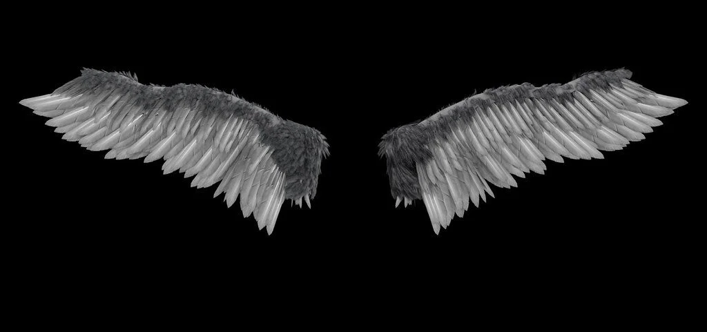 Starfinder: Ultralight Wings options