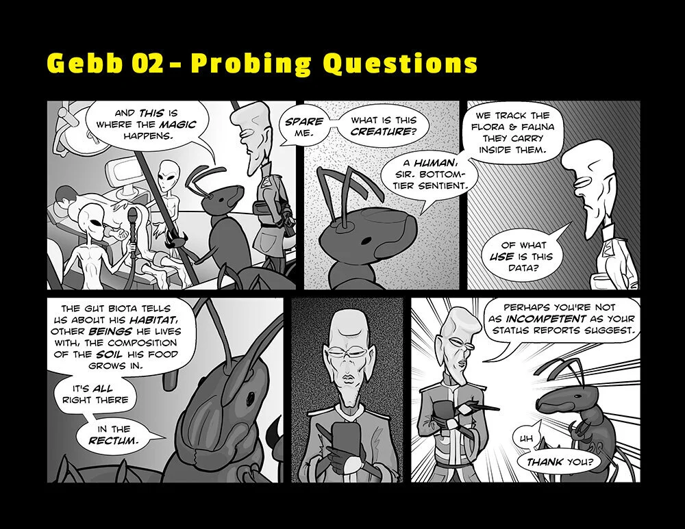 'Gebb 02 – Probing Questions'
