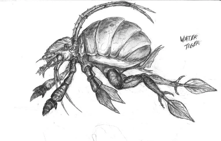 Starfinder: Swimmer Arachnid