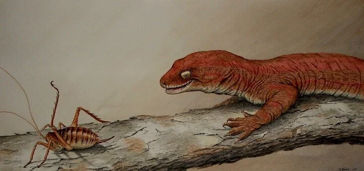 Men & Monsters of Polynesia: Kawekaweau (5th Edition D&D Monster)