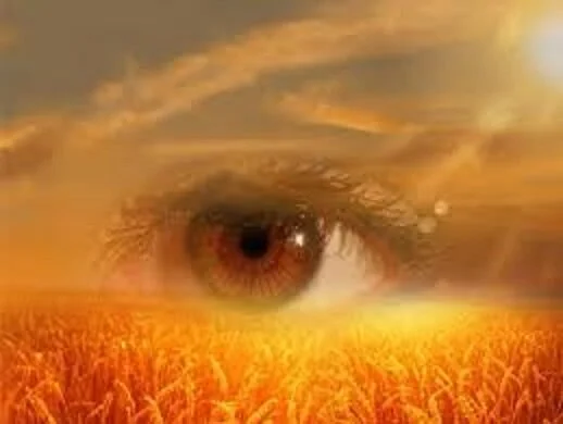 Mental Mutation: Clairvoyance