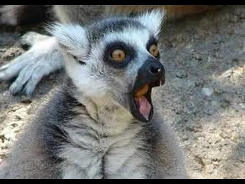 Mental Mutation Drawback: Involuntary Freezing