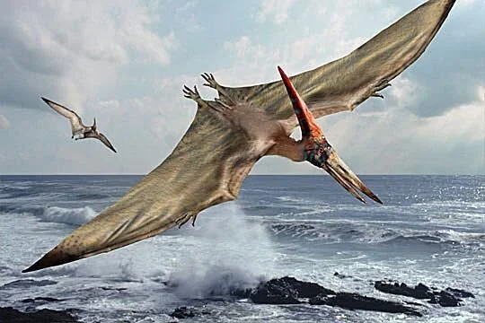 Starfinder: Pterodactyl - Augmented