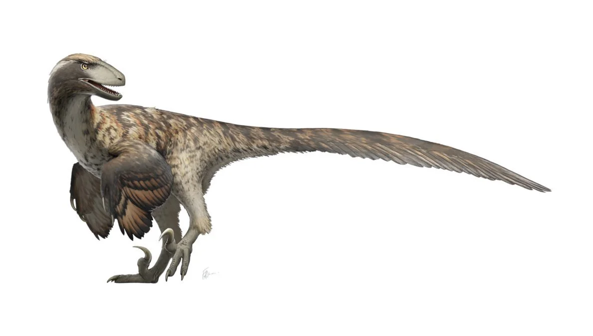 Starfinder: Deinonychus - augmented