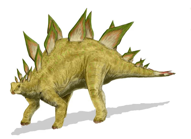 Starfinder: Stegosaurus - Augmented