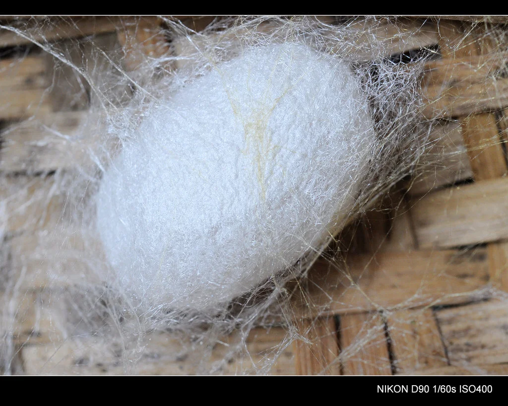 Physical Mutation: Cocoon