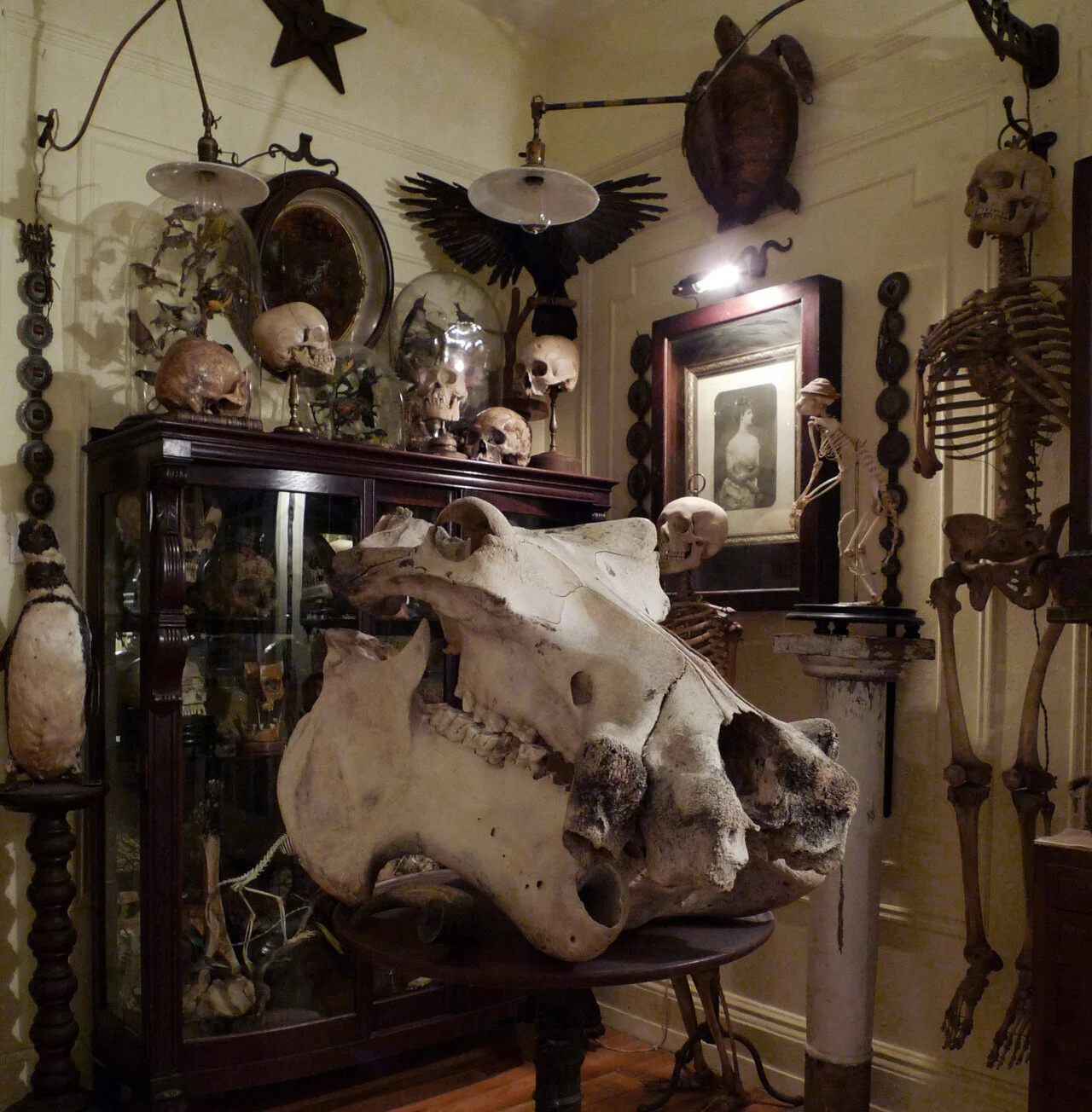 The Oddities Archive