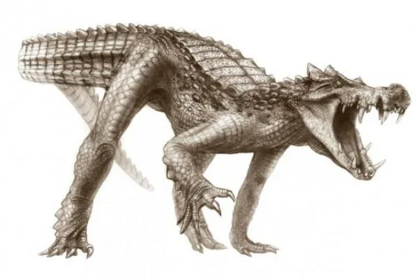 New Mutant Monday Series Two #44 - Tall Crocs